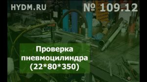 № 109.12  Проверка пневмоцилиндра 80.22.350