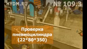 № 109.3  Проверка пневмоцилиндра 80.22.350