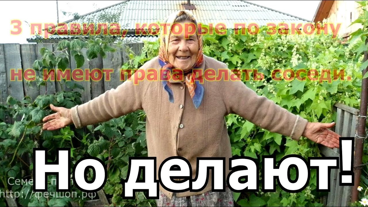 3 правила, которые по закону не имеют права делать соседи по даче, но делают.