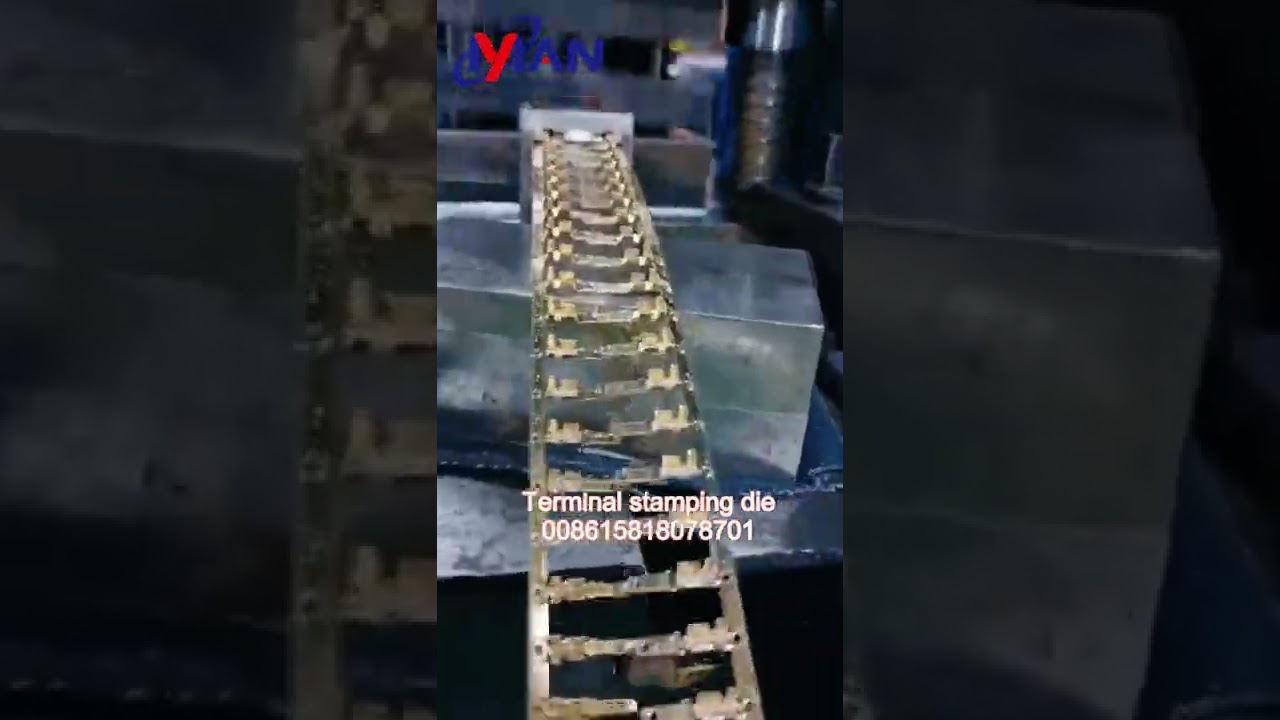 Auto progressive stamping dies for copper terminal making brass terminal punching mold manufacturer