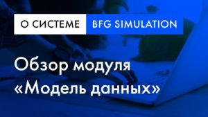 BFG Simulation обзор | Модуль «Модель данных»