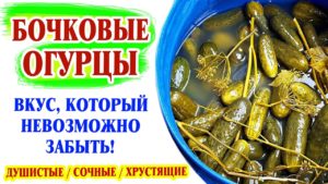Бочковые огурцы! Вкус, который невозможно забыть!