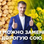 Чем можно заменить сою и удешевить производство корма.