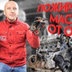 Что не так с 1,6-литровым двигателем Opel (Z16XE) ? Почему он поедал масло?