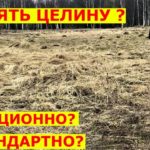 Делаем из ЦЕЛИНЫ газон эффективно для ленивых