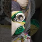 Демонтаж змеевика на стояке гвс, монтаж прямого участка трубы без сварки! #сантехника #plumbing