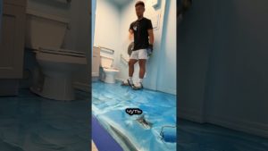 Эпоксидный пол - самый дешевый способ обновления покрытия