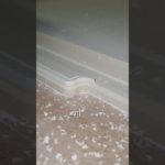 Фрезеровка модельного пластика