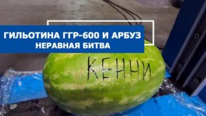 ХАНА АРБУЗУ! Гидравлическая гильотина ГГР-600