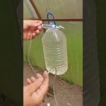 Из пластиковой бутылки и капельницы простейший капельный полив своими руками #diy #tool #самоделка
