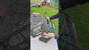 Из пластиковых ящиков самоделка маленький парник для рассады #diy #tool #самоделка #идеи