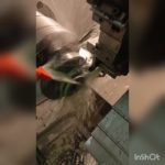 Изготовление зубчатого колеса | Gear machining  #shorts
