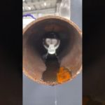 Консольный ленточнопильный станок. Для резки металла.