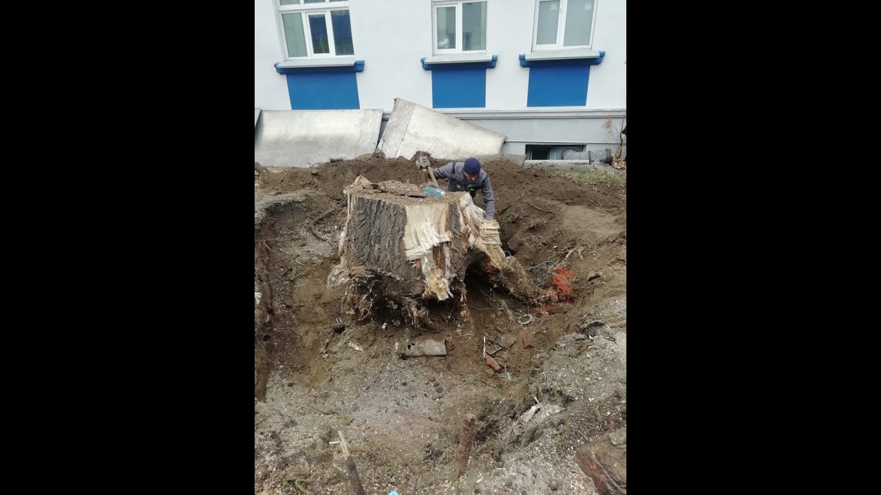 Корчевание и фрезеровка пня. Сложный заказ.