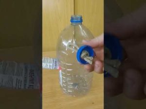 Кормушка для птиц из пластиковых бутылок своими руками