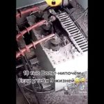 Котика ударило током, 10 т. Вольт