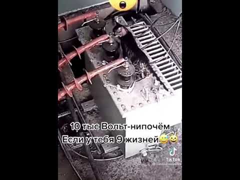 Котика ударило током, 10 т. Вольт