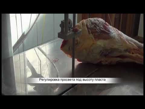 Ленточная пила для мяса В2-фр-2П