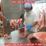 Ленточная пила настольная, циркулярка