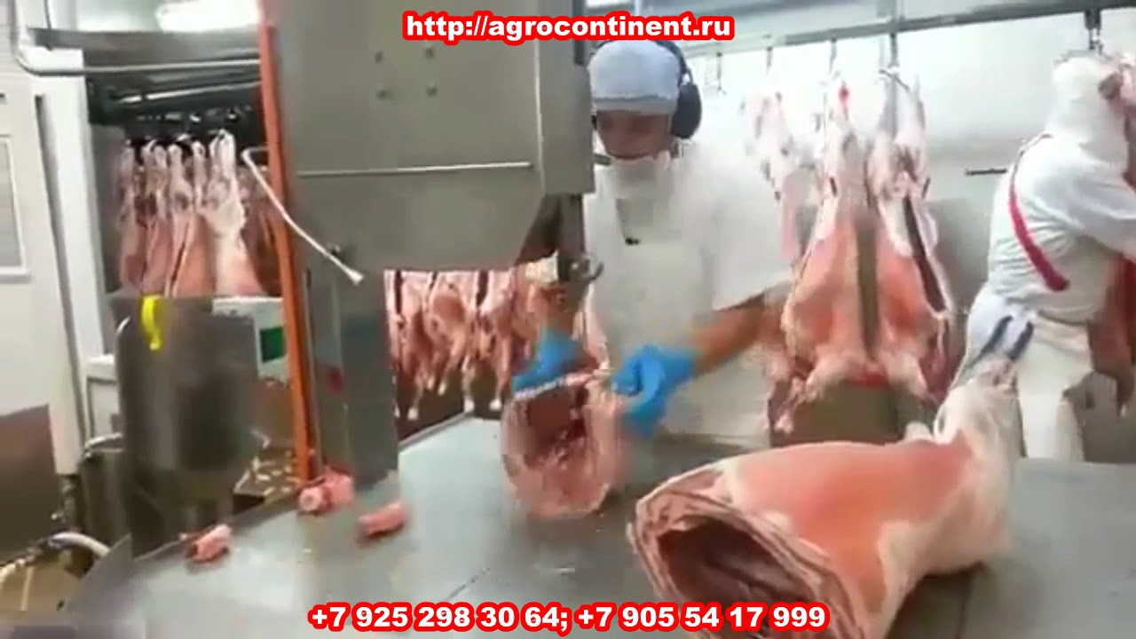 Ленточная пила настольная, циркулярка