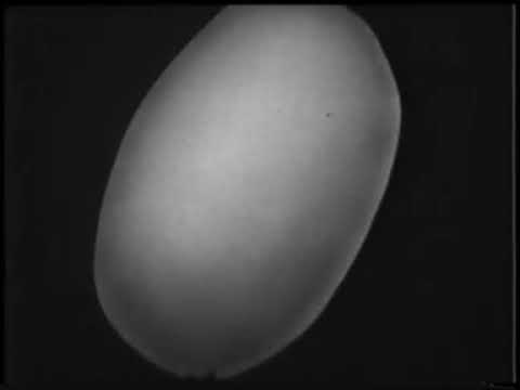 Мартенситные превращения, (учебный фильм)