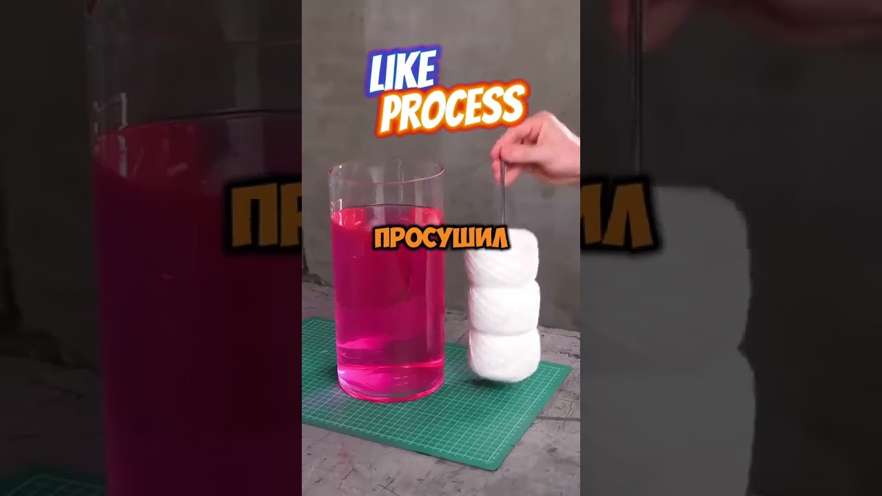 Необычные изделия из пластика, поделки из пластиковых бутылок 🧴 #интересно #своимируками #сделайсам