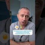 Основы термодинамического питания #Шишонин