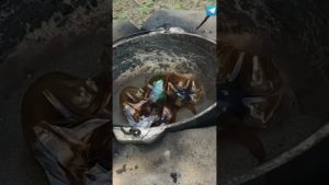 Плитка для садовой дорожки своими руками из ПЭТ бутылок