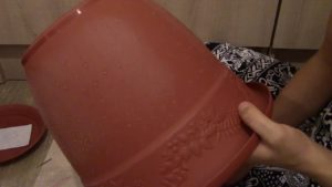 Подготовка пластикового горшка для Туласи