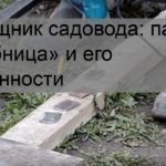 Помощник садовода: парник «Хлебница» и его особенности