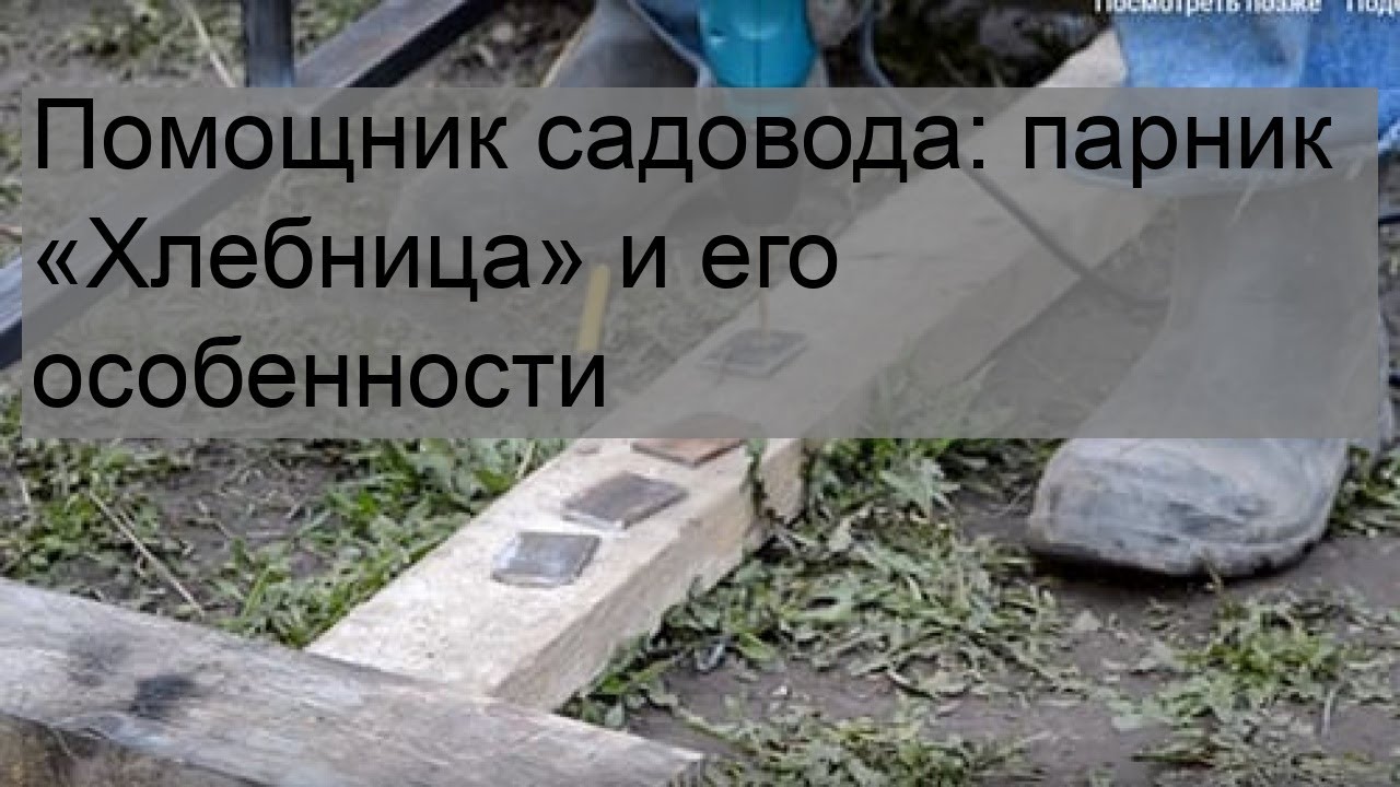 Помощник садовода: парник «Хлебница» и его особенности