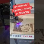 Станок ЧПУ фрезер + лазер. 2 в 1 станке от 120000руб #бизнес #рекомендации #woodworking
