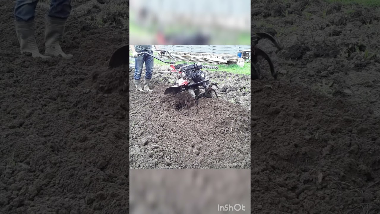 Супер фрезы на мотоблок, можно залипнуть от их работы.