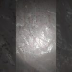 Термообработка пчел 2
