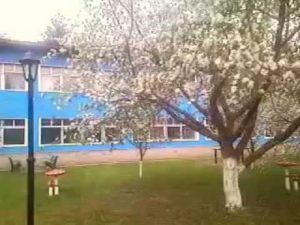 ВЕСНА 2014 ...ДВОР ЗАВОДА "САСТА"