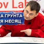 ВОСЕМЬ СЛОЕВ толстослойного грунта | УСАДКА СПУСТЯ МЕСЯЦ