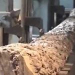 Вертикальный ленточнопильный станок Cemilusta (Турция)