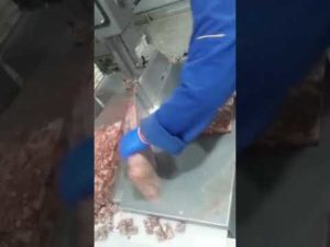 Видео работы ленточной пилы по мясу, кости, рыбе - DRB JG350