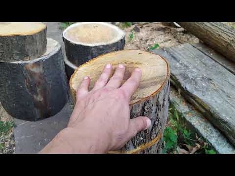 ЗАГОТОВКА СЫРОЙ ДРЕВЕСИНЫ ДЛЯ ТОКАРНОГО СТАНКА .