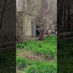 бизнес в гараже по сварке.    бизнес идеи по сварочным работам. #бизнес #сварка