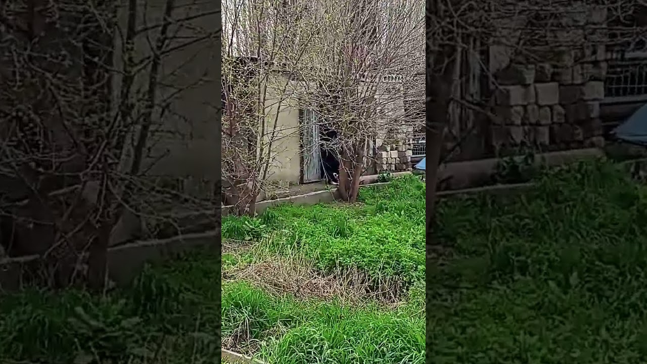 бизнес в гараже по сварке.    бизнес идеи по сварочным работам. #бизнес #сварка