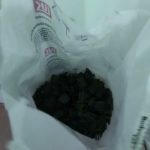литье пластикового корпуса фидерной кормушки Д 30