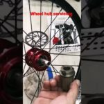 wheel hub servicing with  Shimano premium grease on Fastace Taiwan ??