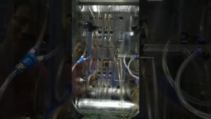 www.gosdar.net | hot runner multi transparent cap mould running Russian